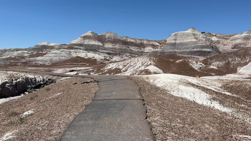 Petrified Forest, Arizona, scenic desert overlook