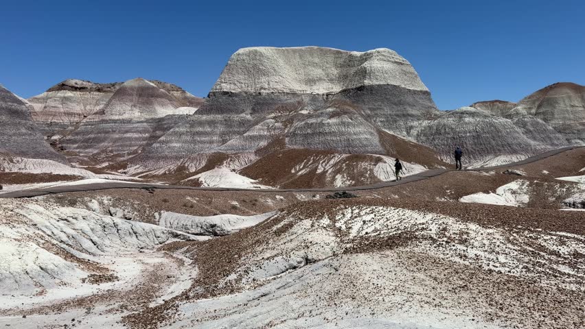 Petrified Forest, Arizona, scenic desert overlook