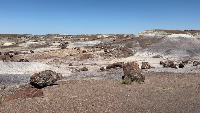 Petrified Forest, Arizona, scenic desert overlook