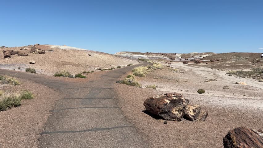 Petrified Forest, Arizona, scenic desert overlook