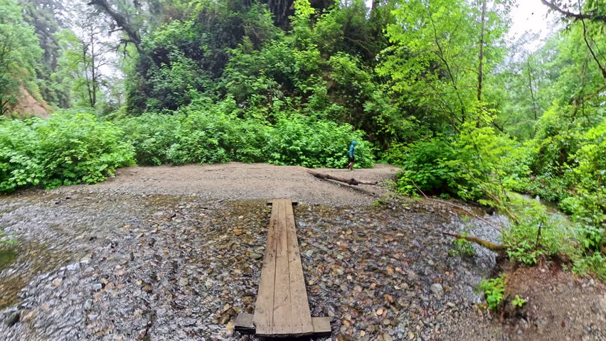 Entering Fern Canyon on Wooden Plank in Redwood National and State Parks