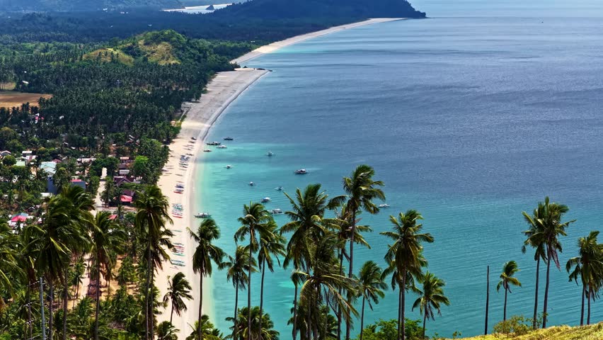 San Vicente Long Beach in Palawan, Philippines on a sunny day in aerial view over palm trees