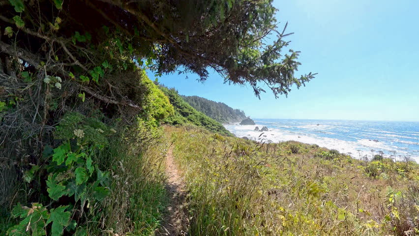 Hiking on Narrow Trail through Grass Along Shore in Redwood National Park