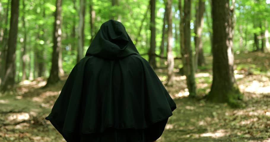 Monk from Behind Among Forest Trees