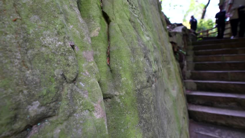 Stone stairs winding along a green mossy rock formation in a Chinese national forest park
