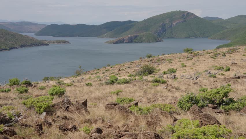 Scattered Vegetations By The Lakeshore With Mountainous Background. Wide Shot
