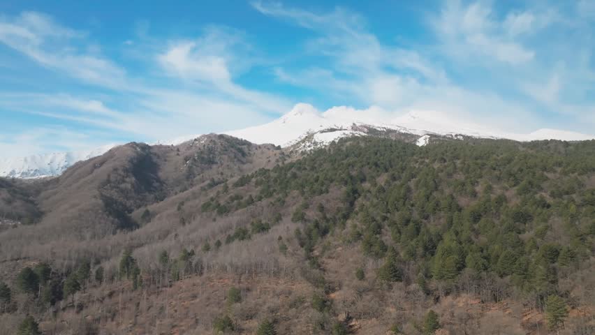 Drone flyover over the forests on the slopes of Mount Etna volcano in Sicily, Italy, revealing its majestic snow-covered peak against a blue sky.