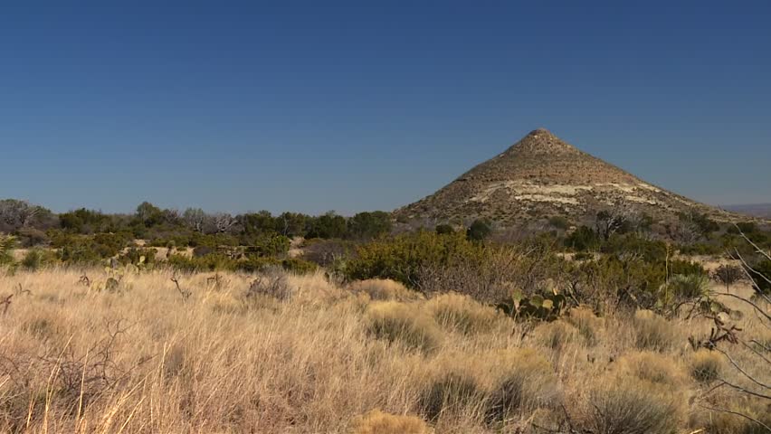Desert grassland with golden prairie vegetation, scattered shrubs, and conical mountain peak in Guadalupe Mountains National Park, Texas, USA, in the Chihuahuan Desert ecosystem. Static shot