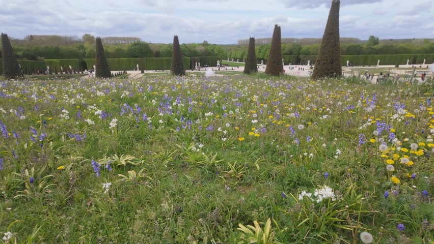 The beautiful Gardens of Versailles with colorful flowers and shaped trees in a landscape photo.