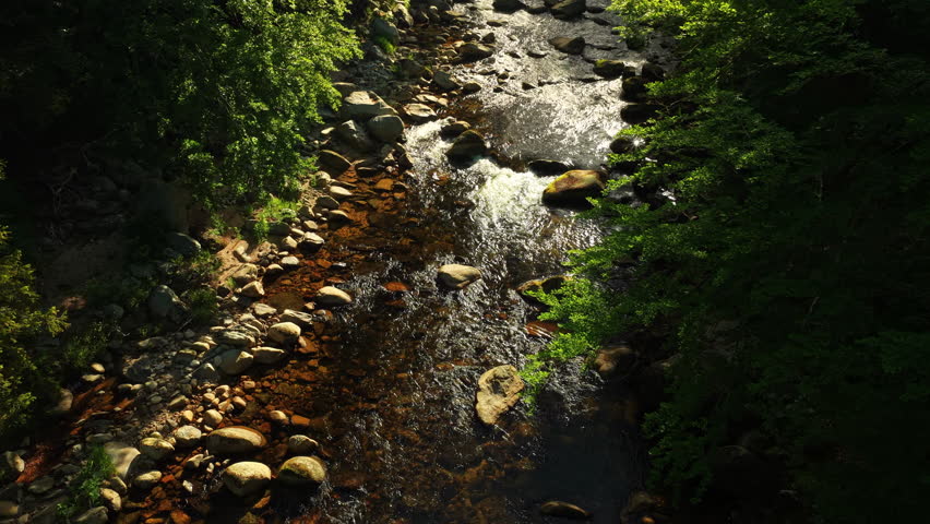 Beautiful Sunrise In Sunny Spring Forest with Mountain River . Sunlight Sunbeams Through Woods In Forest Landscape with Authentic Nature Sound