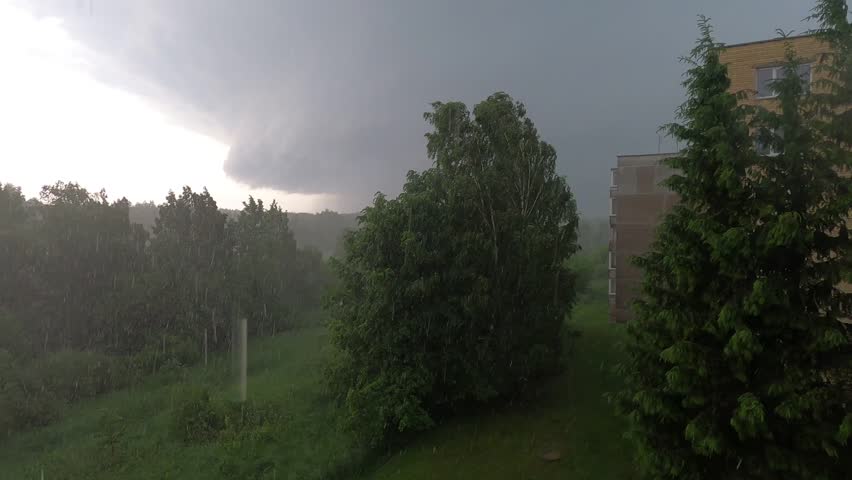 Heavy summer rainstorm with strong wind blowing and bending green trees under dramatic dark contrast sky