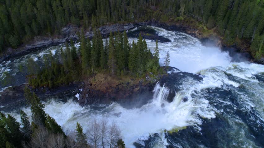 Powerful river rapids, white water foam, boreal forest aerial.