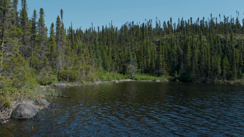 A serene lake journey unfolds from the deck of a fishing boat near the forest shoreline