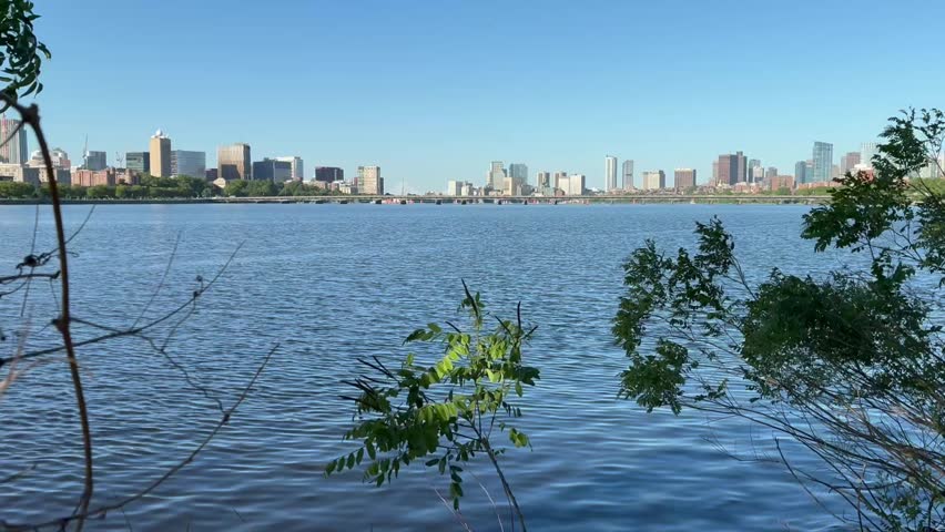 View from along the bank of the Charles River looking into the distance at Cambridge and Downton Boston during a summer afternoon.