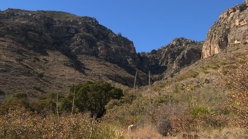 Rugged canyon with limestone cliffs, rocky slopes, desert shrubs and native vegetation in Guadalupe Mountains National Park, Texas, USA. Static daytime shot showcasing the Chihuahuan Desert