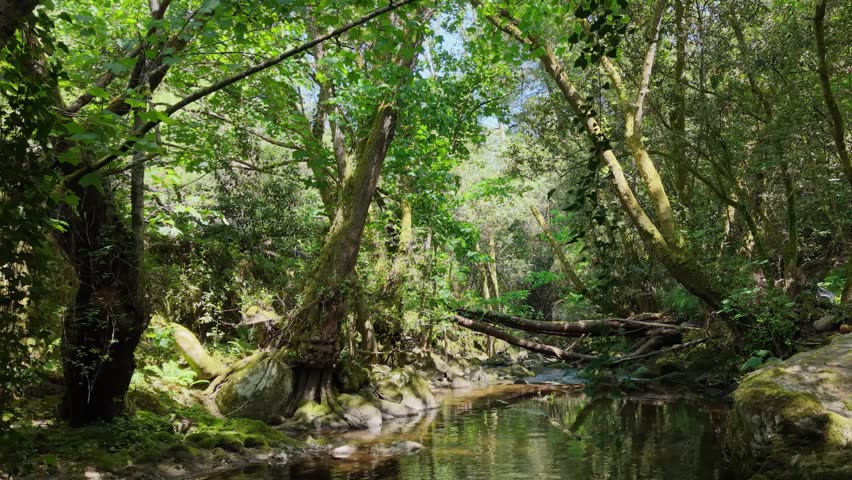 Vaos River Over The Medieval Masonry Bridge Near The Village Of Lumeares In Galicia, Spain. Aerial Pullback Shot
