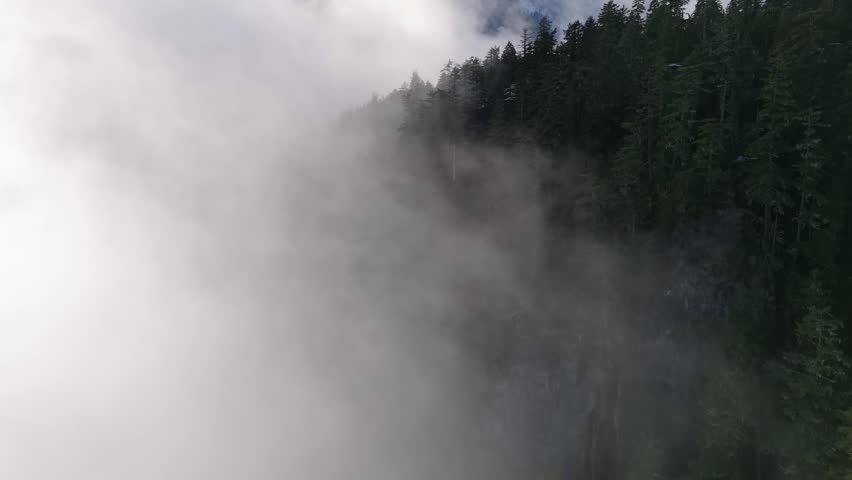 Majestic Forest on a Cliffside Engulfed in Thick Fog in British Columbia, Canada