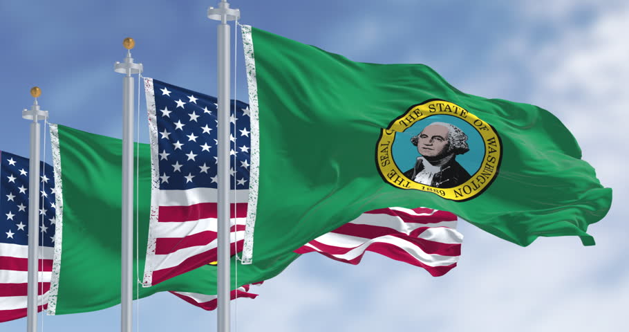 Washington and USA flags waving on a clear day. Dark green field with a seal showing the picture of George Washington in the middle. Seamless 3d render animation. Slow motion loop. Selective focus