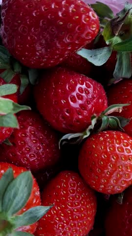 vertical video of freshly picked red homegrown strawberries with green stems from a personal garden