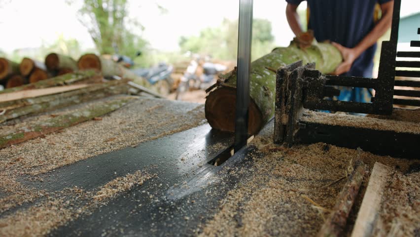 Carpenter using an band saw machine for cutting a log in a sawmill, Vietnam.