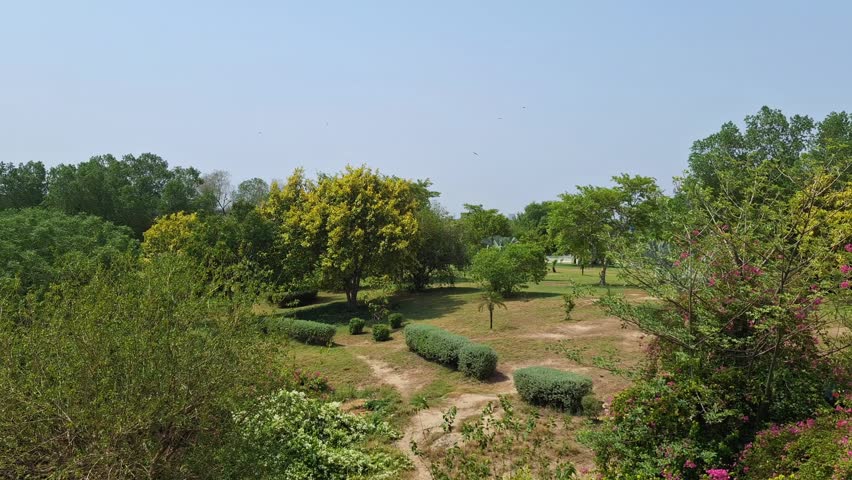 Beautiful public park landscape with lush green trees, low-cut hedges, and wild birds flying high in the clear blue sky on a sunny day.
