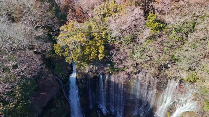 High-angle drone shot looking down at the majestic Shiraito Falls in Japan, showcasing the silk-like water curtain and a beautiful rainbow.