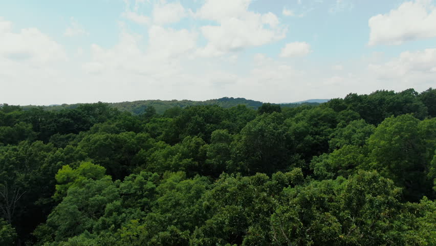 Aerial flying over lush vegetation in Ozark Mountains, Arkansas, USA