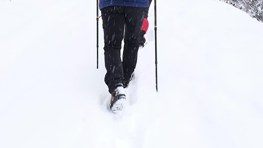Man legs with snowshoes walk in snow. Detail of winter hike in snowdrift, snowshoeing with trekking poles and shoe cover in powder snow