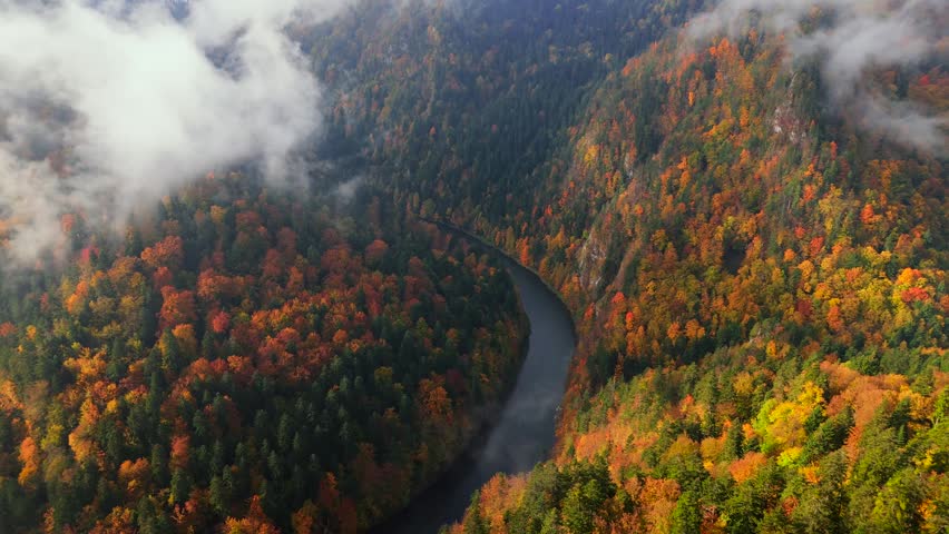 Gorgeous colourful autumn in the mountains. Pieniny, Poland
