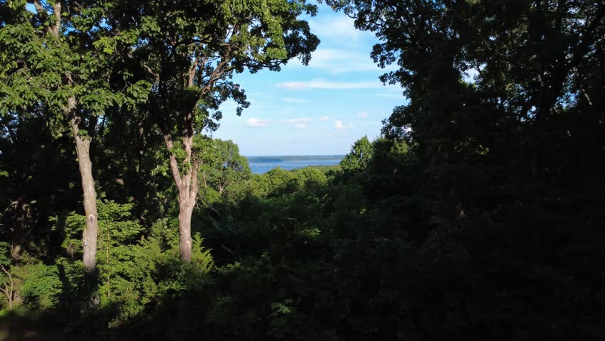 Drone footage rising over Ozark forest toward Stockton Lake, Missouri, revealing distant blue water, a long bridge, and wooded shoreline.