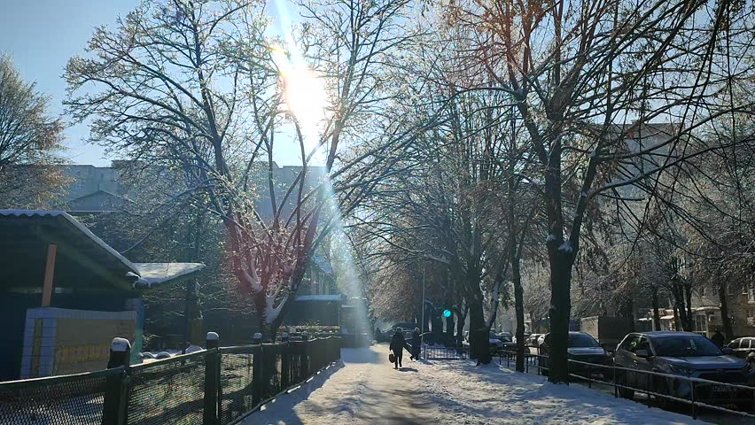 Winter in city. Woman walking along on snowy path between tall trees and buildings on sunny winter day. Snow-covered street in city in winter. Urban view in winter. Road, trees, cars in snow on day