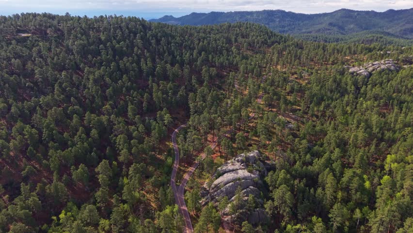 Scenic aerial view of vast Black Hills National Forest landscape in South Dakota