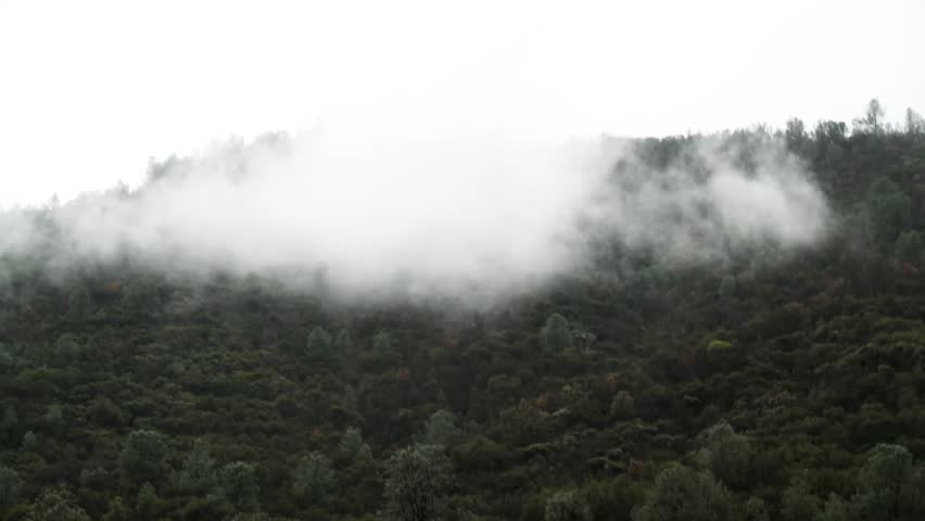 Scenic view of thick fog and rolling clouds moving over a snowy pine forest on a mountain in Yosemite
