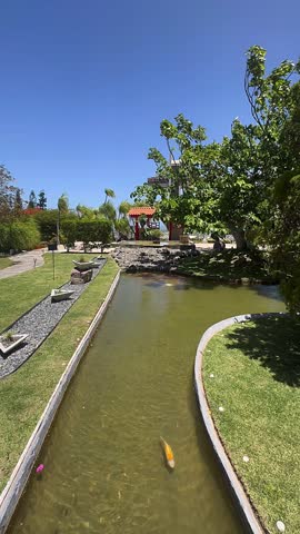 A curved garden pond runs through a landscaped outdoor area with green grass, leafy trees, stone accents, and trimmed plants. Bright sunlight, calm water, and a clear blue sky give the space a clean peaceful garden look.
