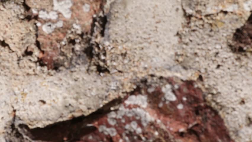 Detailed close up view of a deteriorating old red brick wall with crumbling gray mortar, highlighting its rough, aged, and weathered texture under bright outdoor lighting