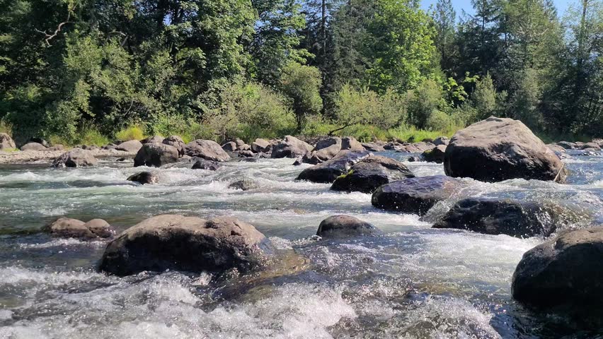 River water flowing through the rocks in a green pacific northwest forest