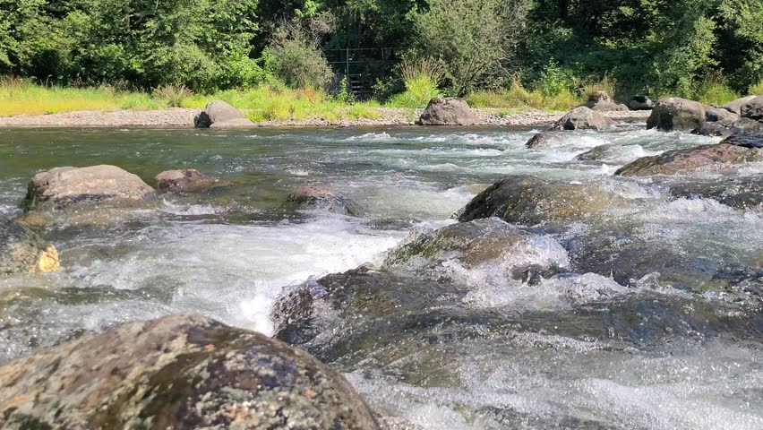 River water flowing through the rocks in a green pacific northwest forest