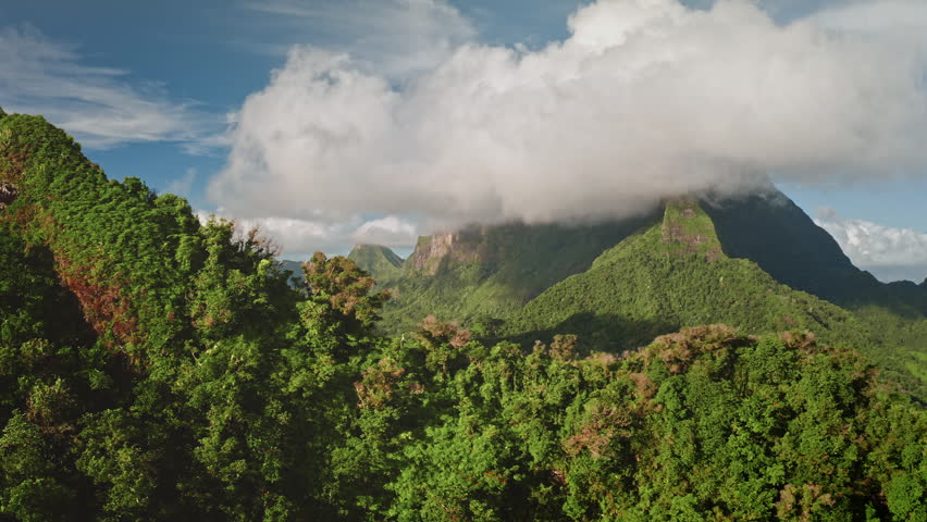 Dense green jungle covers dramatic volcanic mountain peaks and valleys, white clouds gently drape over mountaintops, creating a stunning natural landscape in Moorea, French Polynesia. Aerial flight