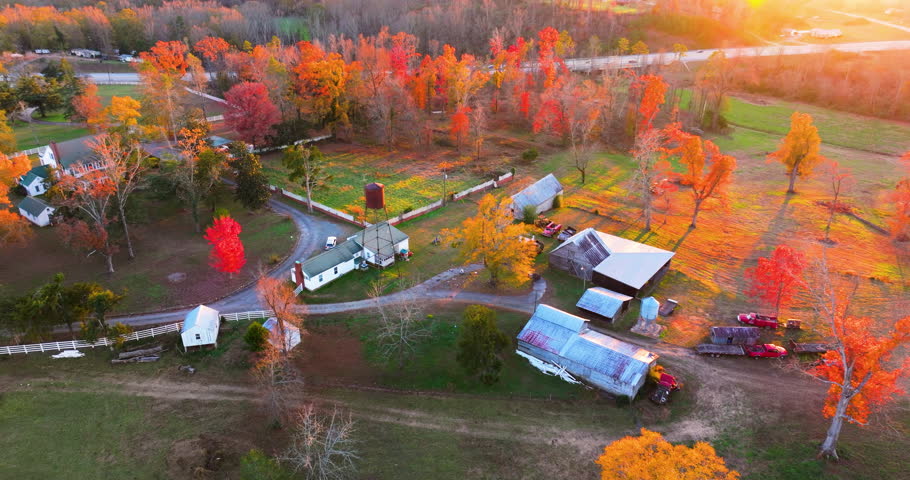 Elegant farmhouses hidden between bright autumn trees, golden leaves framing property in peaceful southern rural scene.