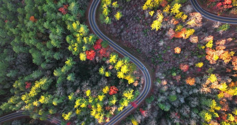 Peaceful mountain road in North Carolina during peak fall season at sunset. Appalachian landscape filled with vivid autumn colors
