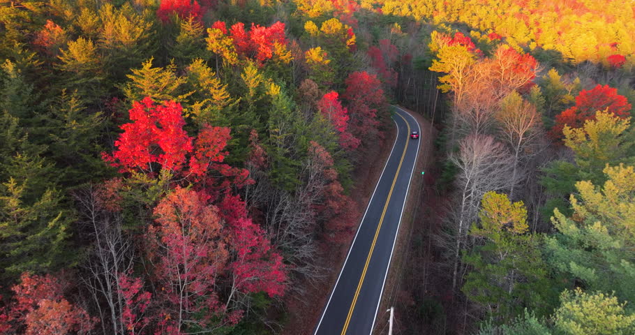 Winding forest road in Tennessee Appalachians during fall. Car traveling through mountain woods under glowing autumn leaves