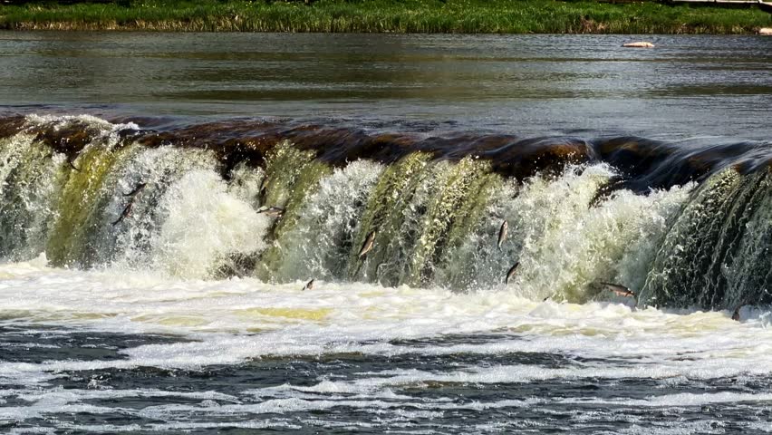 Scenic river and waterfall environment in Latvia