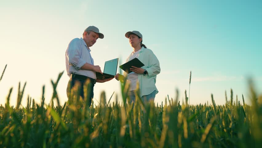 Farmers, handshake, business people, teamwork. Farmers, man woman teamwork, green field. People working, checking corn growth, analyzing harvest using laptop, tablet. Agricultural workers, agronomist