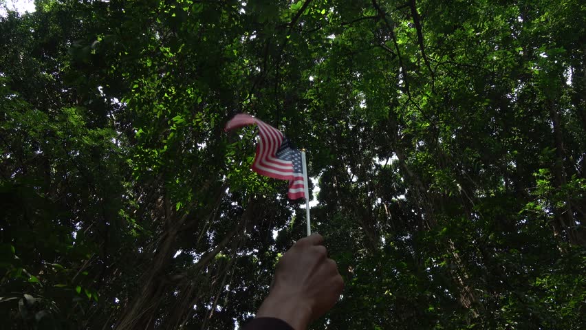 A low angle shot of a person raising and holding a miniature American stick flag high up. The national flag waves slightly against a dense background of lush green forest trees and outdoor canopy daylight.