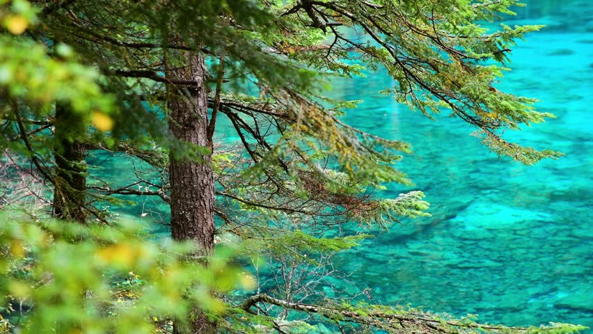 Real Shot of Calm Lake Surface in Jiuzhaigou Sichuan China