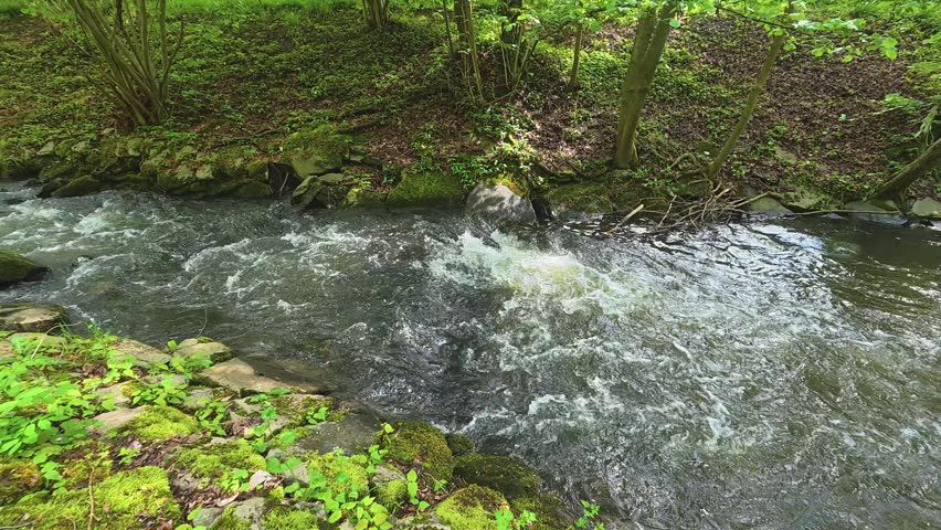 Rushing water of a wild mountain river flowing through a lush green spring forest