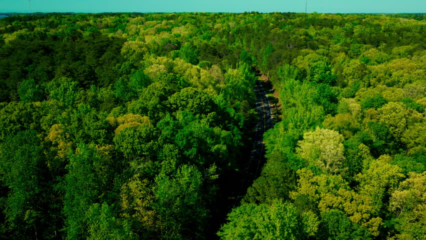 Empty two-lane road winding through a dense, vibrant green forest canopy in South Carolina, illustrating eco-tourism, rural infrastructure, and remote travel.
