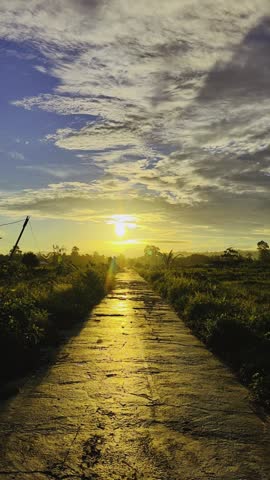 A beautiful sunset view in a rural area with a paved road stretching toward the horizon.  A beautiful twilight scene as the sun sets in the countryside. 