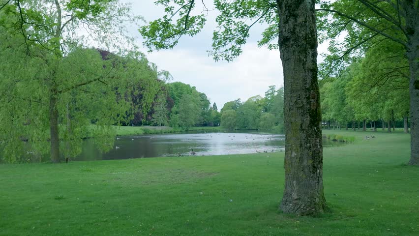 Idyllic public park with a serene pond