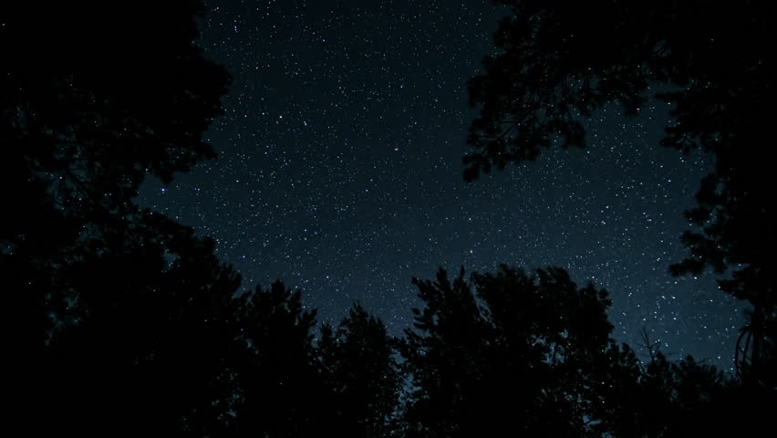 Star trails spinning above forest silhouettes in dramatic night sky, long exposure astrophotography showing Earth